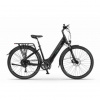 Ecobike X-Cross 19