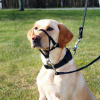 Trixie Top Trainer ohlávka M 27 cm