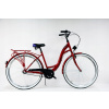 Mestsky bicykel - Tander Aventis stal 3s 28 