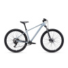 CTM Rambler 1.0 29