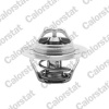 CALORSTAT by Vernet Termostat chladenia TH6045.89J