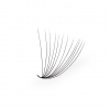 Luxury Lashes 12D Riasy Premium sypané v hotovom vejáriku 500 Ks Zakrivenie umelých rias: CC, Dĺžka umelých rias: 15 mm, Hrúbka rias: 005