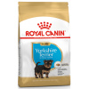 Royal Canin Yorkshire Terrier Junior 1,5 kg