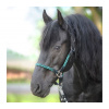 Kavalkade - Ohlávka Tessa Farba: Čierna - antracitovo, šedo, tyrkisová, Veľkosť: PONY