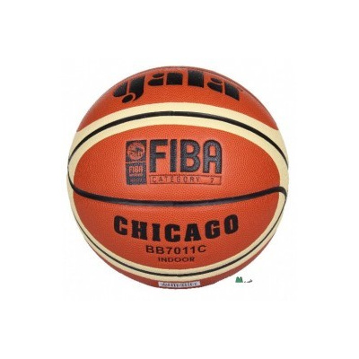 Gala Basketbalový galavečer Chicago 6