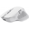 Trust Ozaa+ Multi-Device Wireless Mouse 24935