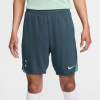 Nike Tottenham Hotspur Third Strike Shorts 2024 2025 Adults Grey M