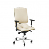 ASANA Seating Ergonomická kancelárska stolička Asana Steel Standard Farba čalúnenia: Eko koža Krémová 554, Opierky rúk: bez opierok 11 farieb