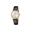 FESTINA 20017/1