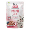 Brit Care Mini Puppy Lamb Fillets In Gravy kompletné superprémiové krmivo pre šteniatka mini plemien kapsička 85 g