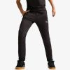 Puma EVOSTRIPE Pants DK L