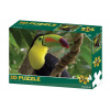 Puzzle 3D Tukan 100 dielikov 670889206529 Lamps