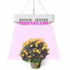 Osvetlenie pre rastliny - Lampa pre rast rastlín rastú svetlo 150W Mengs (Osvetlenie pre rastliny - Lampa pre rast rastlín rastú svetlo 150W Mengs)