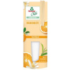 Osviežovač vzduchu, 90 ml, náhradná náplň, FROSCH „Oase“, pomaranč
