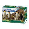 Puzzle 3D Tučniak 100 dielikov 670889206505 Lamps