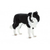 Animal Planet Mojo Border Kolie