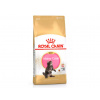 Royal Canin Maine Coon Kitten 2 kg