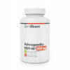 ASHWAGANDHA EXTRAKT KSM-66 500 mg KONCENTRÁCIA PAMÄŤ - GymBeam 90 kapsúl