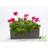 Truhlík samozavlažovací Berberis - antracit + zelená 60 cm
