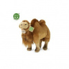 Eco-Friendly Rappa velbloud 30 cm