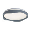 Rabalux ISRAH LED stropné svietidlo 71250