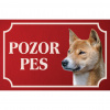Novoquinejský dingo - Kovová tabuľka POZOR PES