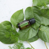 doTERRA MELALEUCA esenciálny olej (čajovník) 15 ml