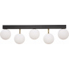 Stropná lampa ALI 5643 Zuma Line