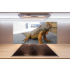 Sklenený panel do kuchyne Iguana 100x50 cm