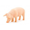 Animal Planet Prasa 387080