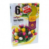 Admit Tulips čajové vonné sviečky 6ks 20467