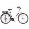 LIBERTY e-STRADA 6spd zadný motor 18