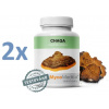 MycoMedica Chaga 2 x 90 kapsúl