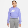 Nike Sportswear Club Girls Jr DC7210-569 sweatshirt (106851) S (128-137)