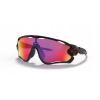 Oakley Jawbreaker OO9290-2031