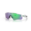 Oakley Radar EV Path OO9208-7138 Polished white-prizm jade