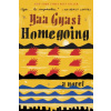 Homegoing