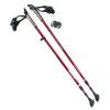 Palice NILS NW802 Nordic Walking