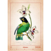 Aviarium 2026 - nástěnný kalendář