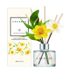 Cocodor - Aroma tyčinkový difuzér - Daffodil- vôňa Vanilla&Sandalwood 200 ml