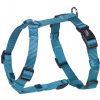 Nobby CLASSIC postroj nylon ML 50-70cm / 20mm svetlo modrá