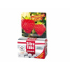 Nohel garden Hnojivo SILVA TABS na jahody 250g 25 tablet