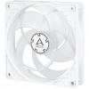 ARCTIC P12 PWM (white/trasparent) ACFAN00131A