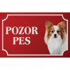 Malý kontinentálny španiel Papillon - Kovová tabuľka POZOR PES