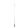 Plavák Saenger Specialist Crystal Light Waggler 4+2g