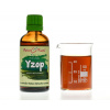 Yzop - bylinné kapky (tinktura) 50 ml - doplněk stravy