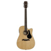 Alvarez AD 60 CE (N)