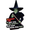Aquarius The Wizard of OZ Funky Chunky Magnet I'll Get you...
