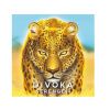 Divoká Serengeti