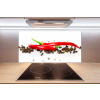 Panel do kuchyne Chilli a korenie 100x50 cm